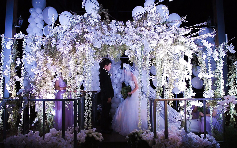 Wedding Ceremony & Party